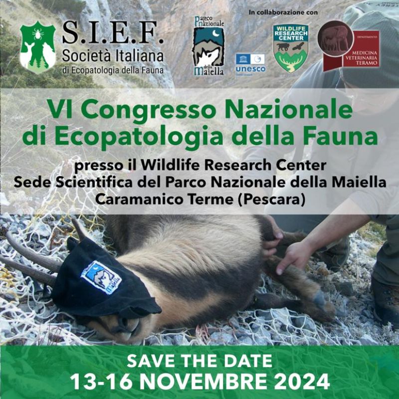 VI Congresso Nazionale di Ecopatologia della Fauna Caramanico Terme (Pescara) 13/11/2024 – 16/11/2024