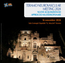 Teramo neurovascular meeting 2024 - nuov...