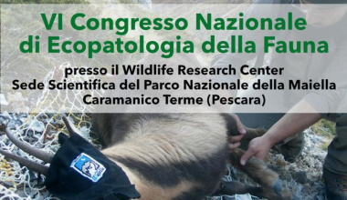 VI Congresso Nazionale di Ecopatologia della Fauna Caramanico Terme (Pescara) 13/11/2024 – 16/11/2024